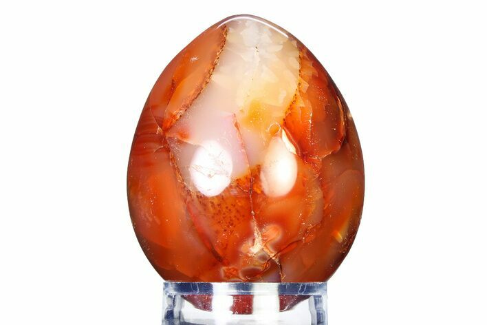 Vibrant Polished Carnelian Agate Egg - Madagascar #318286